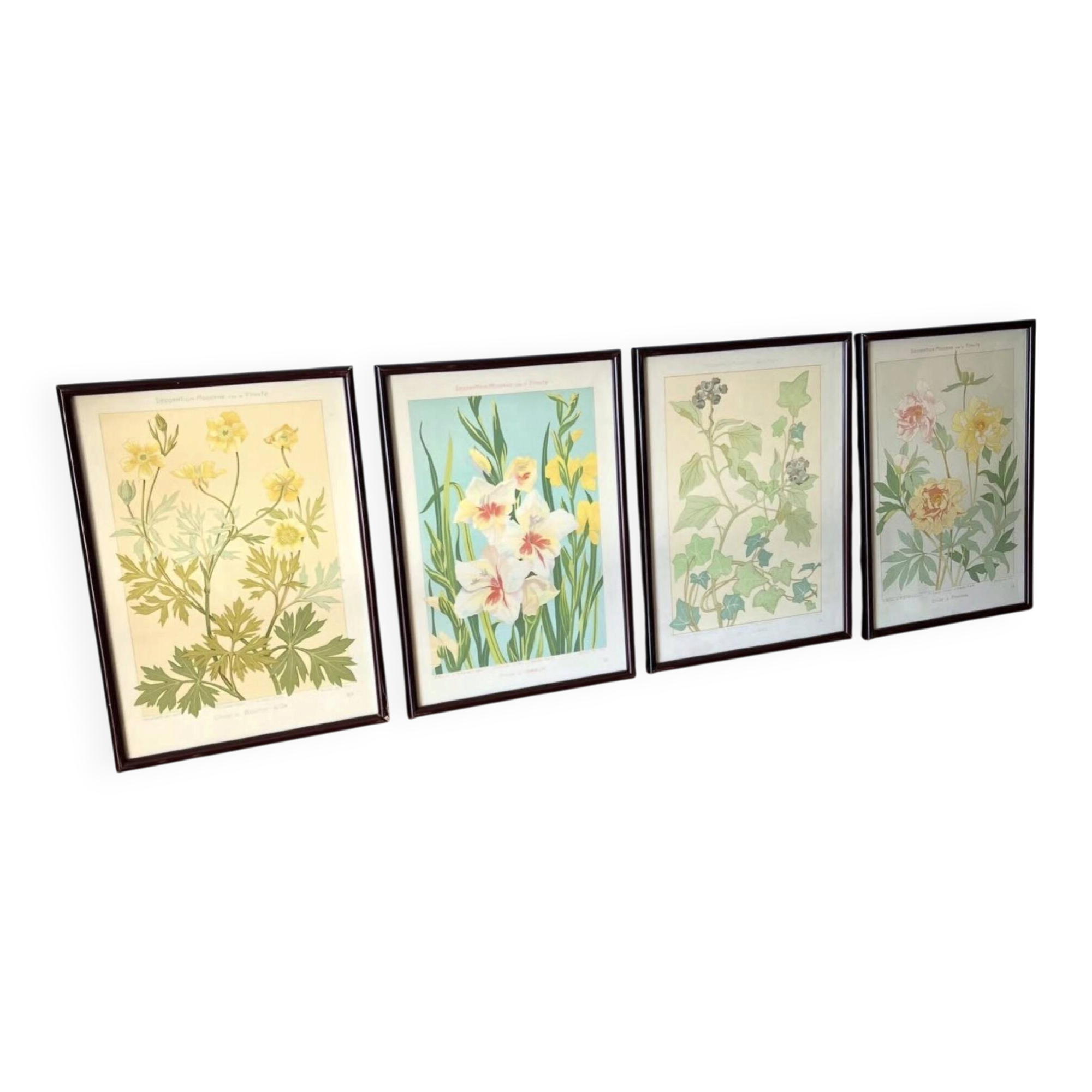 4 floral lithographs 1900