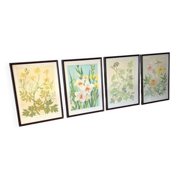 4 lithographies florales 1900
