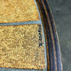 Coffee table Roger Capron herbarium