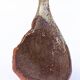 Organic stoneware vase-sculpture signed
