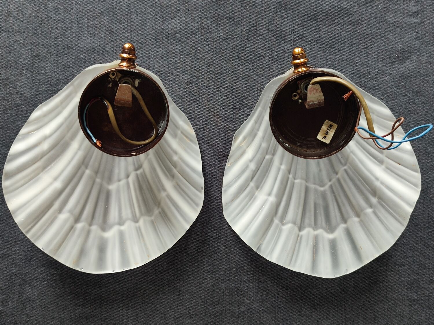 Pair of vintage shell wall lamp