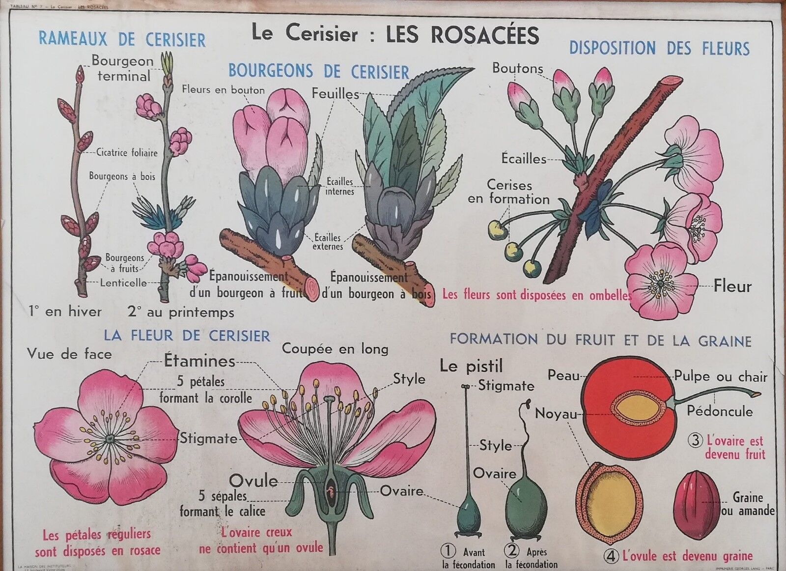 Old MDI school poster