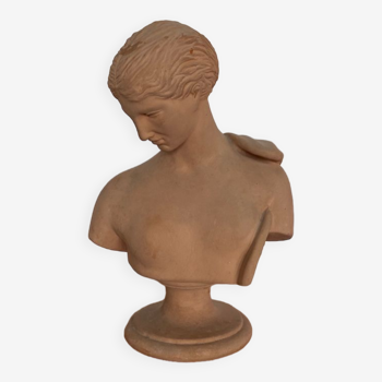Terracotta bust Greek goddess