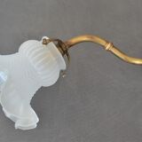 Vintage wall lamp, glass tulip lampshade, brass gooseneck support and blah porcelain