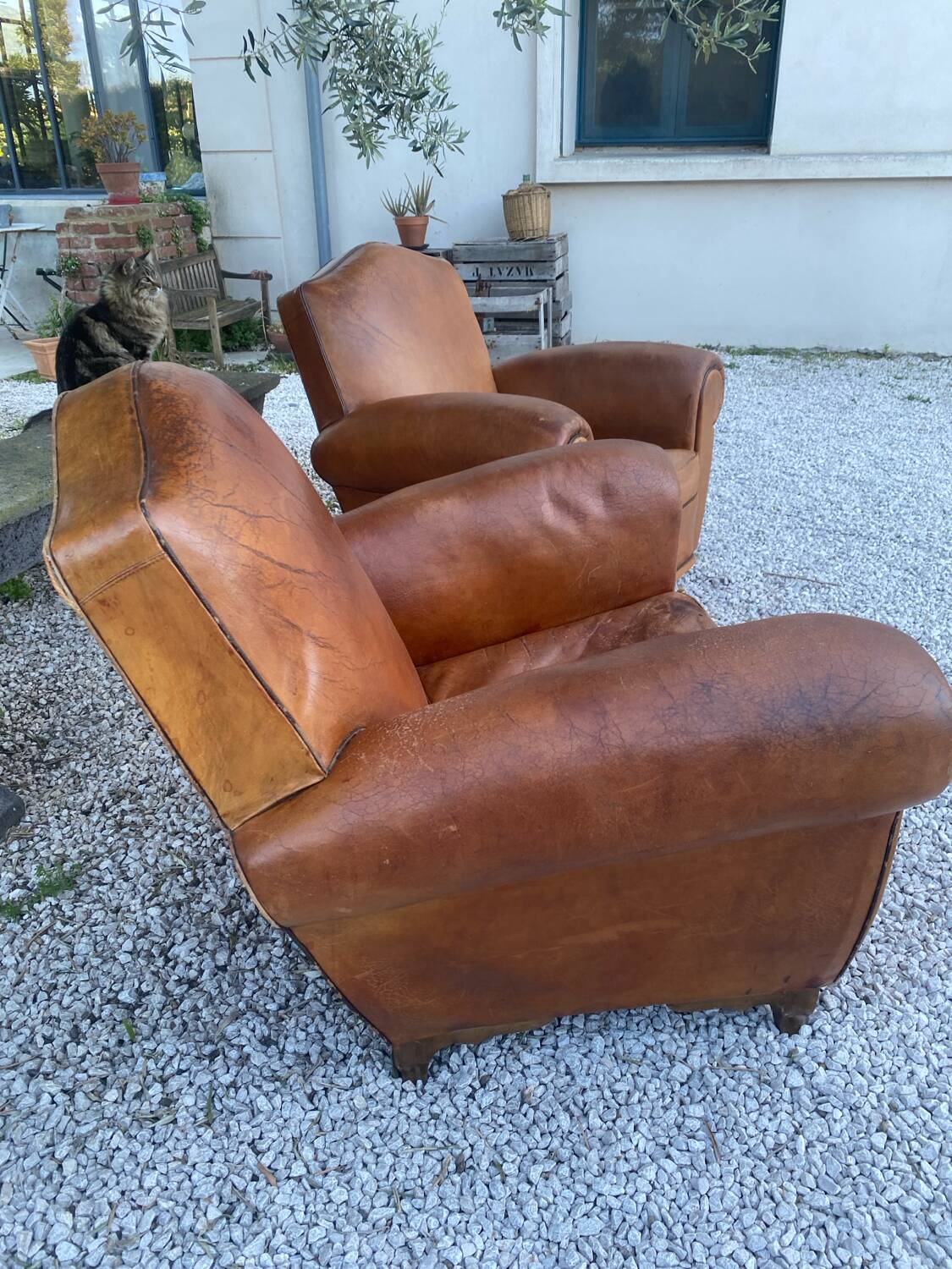 Pair of club armchairs