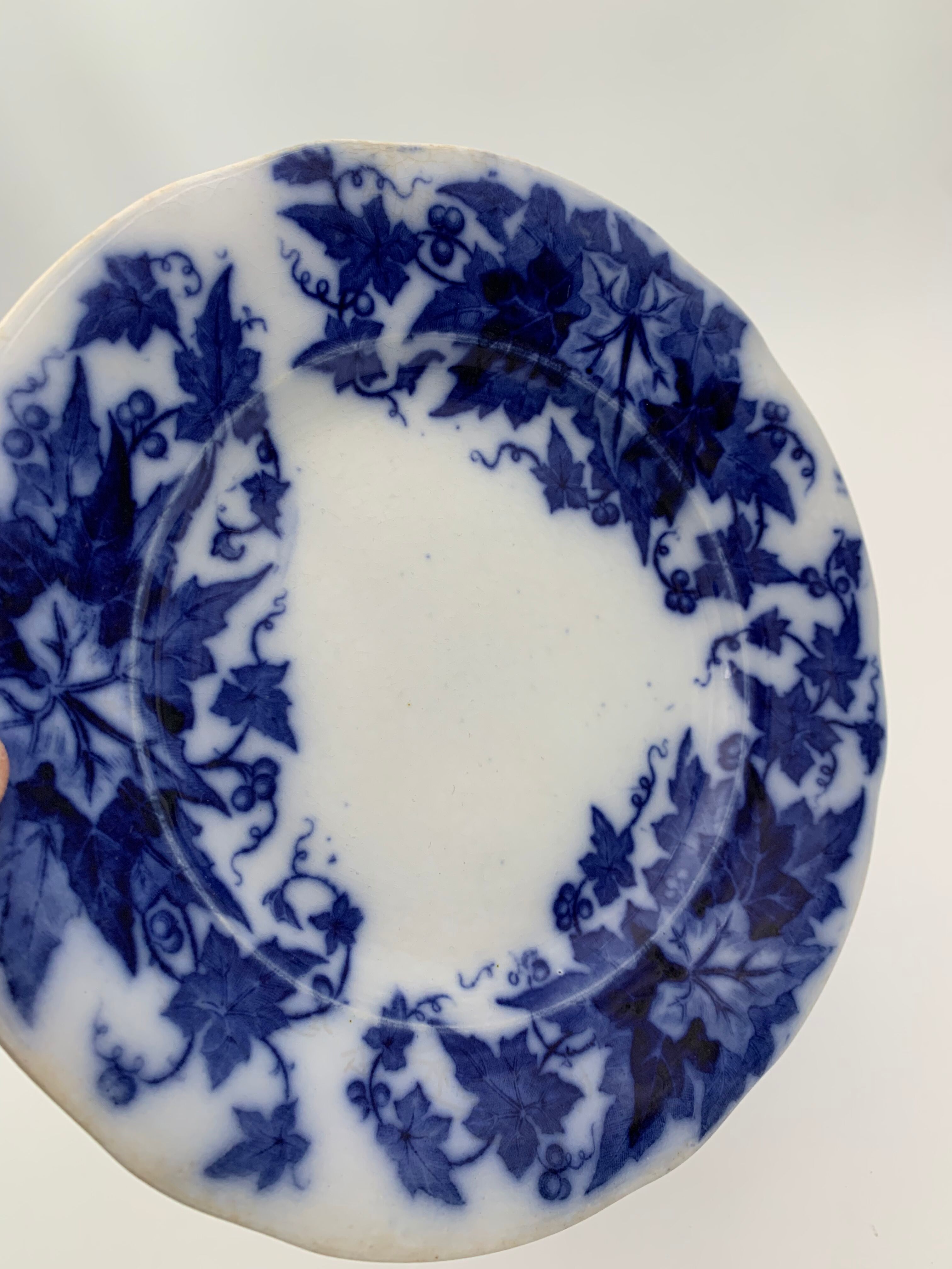 Old earthenware plate SARREGUEMINES, Bryonia model - Late 19th century