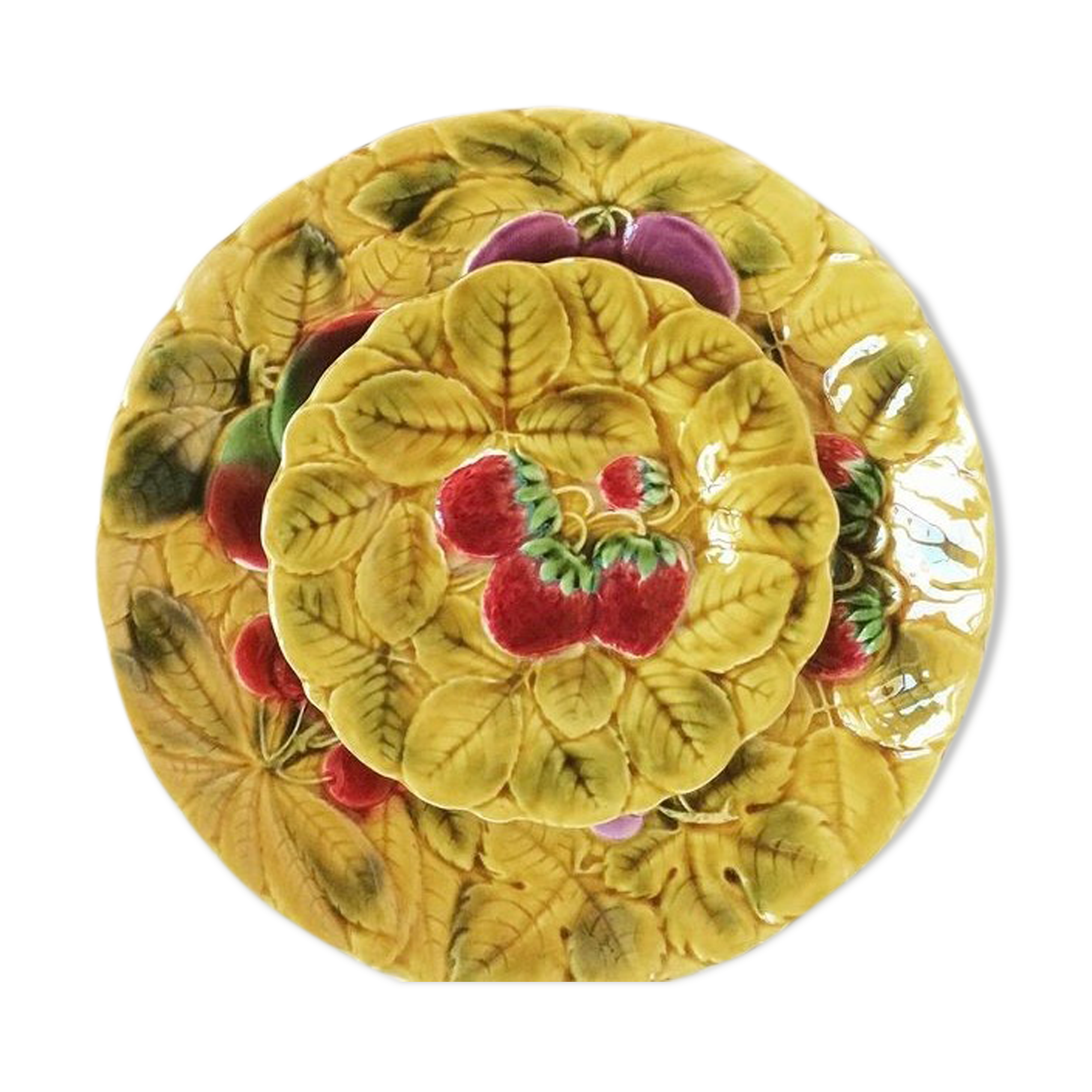 Duo flat plate Slurry pattern fruits