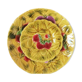 Duo flat plate Slurry pattern fruits