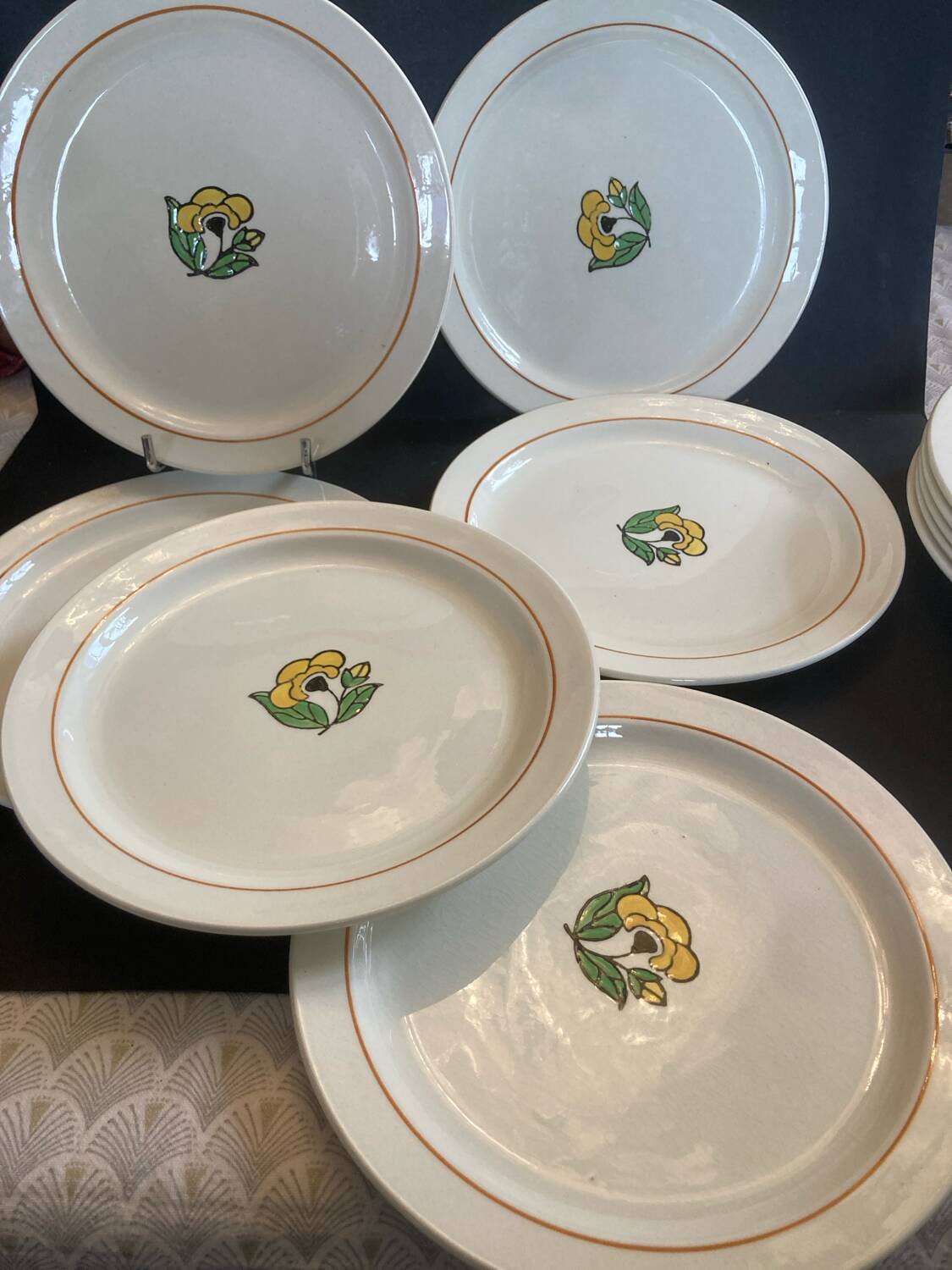 Lot 11 assiettes salins terre de fer