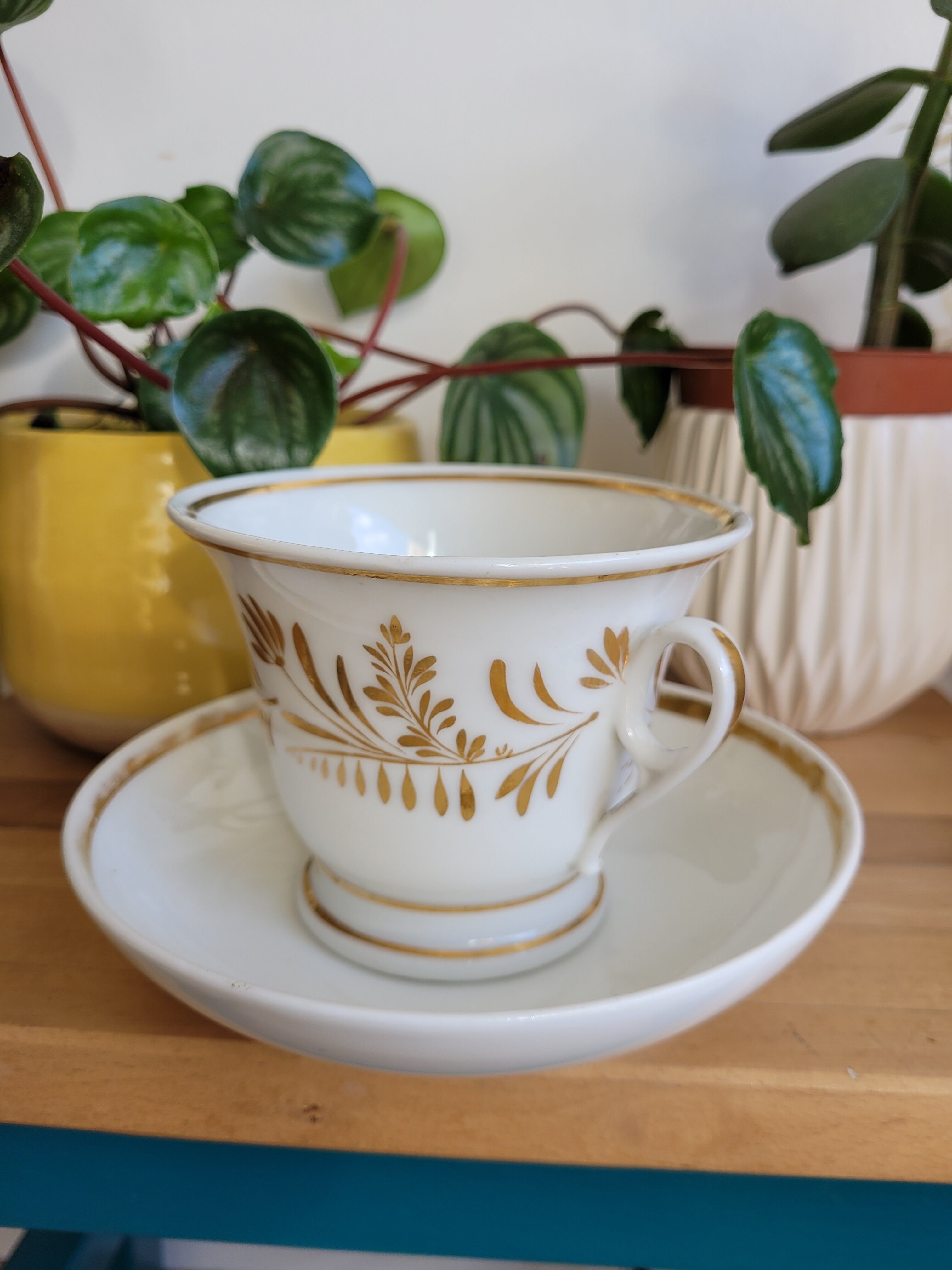 Chocolate Cup Branching