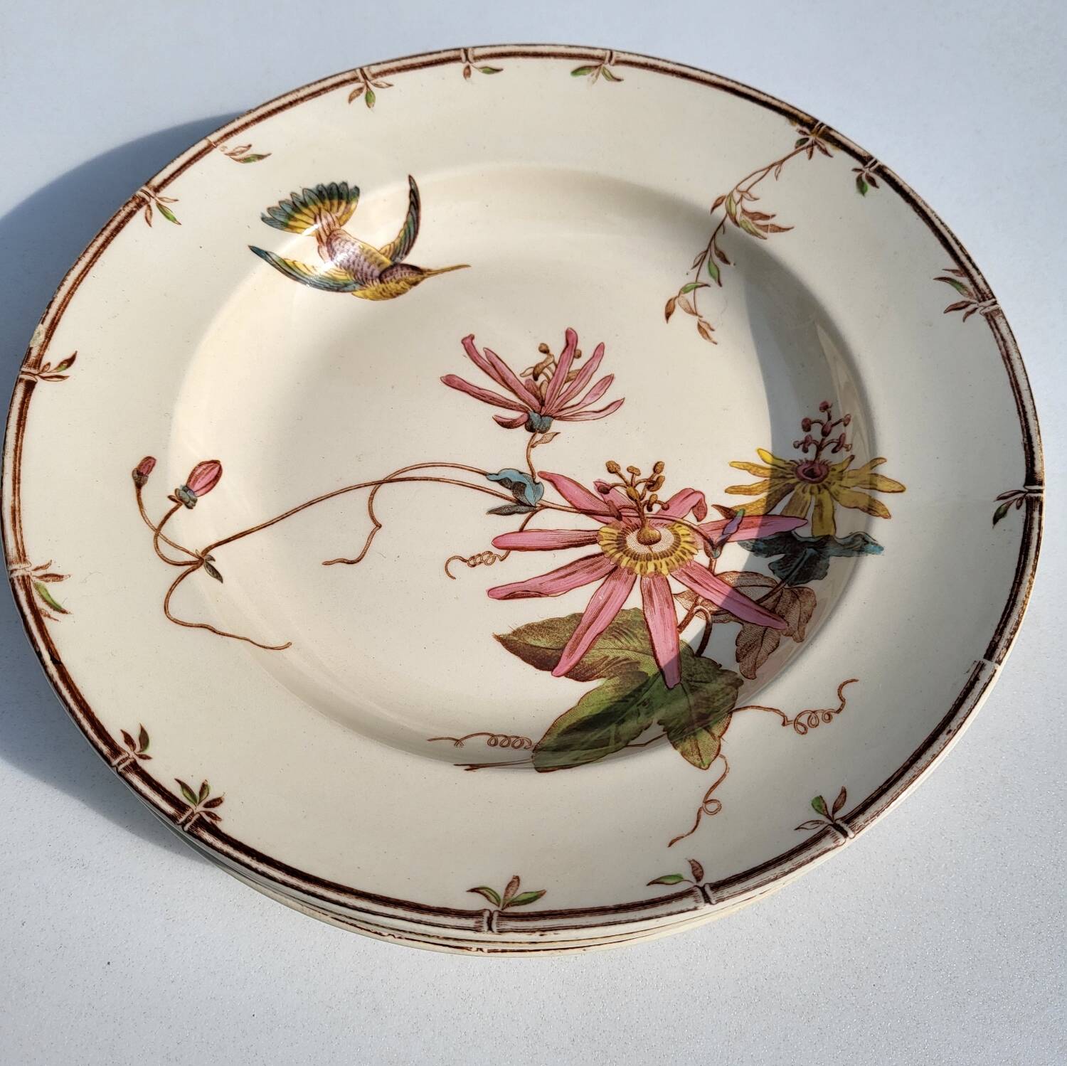 Lot of 4 hummingbird soup plates 1875
