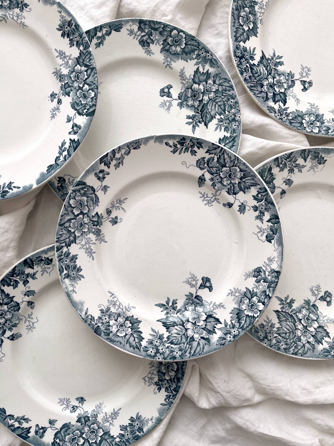 6 flat ironstone plates “Marie Louise” Saint Amand and Hamage