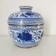 Pot couvert en porcelaine chinoise bleu et blanc