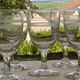 Lot de 5 verres à eau bistrot anciens en verre.
