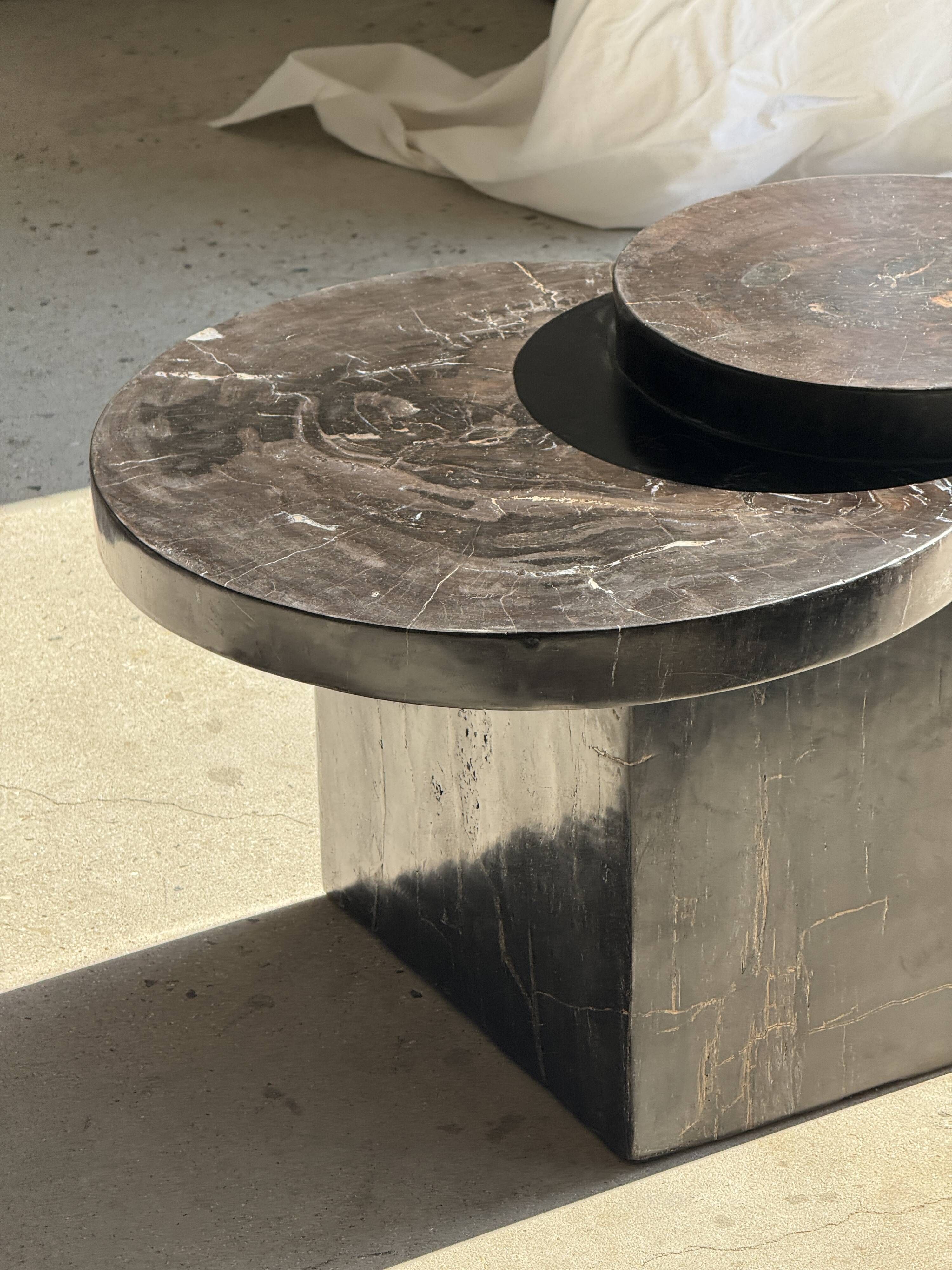 Brown petrified wood coffee table from Indonesia with a double circular top.
