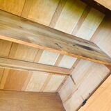 Art deco parisian wardrobe