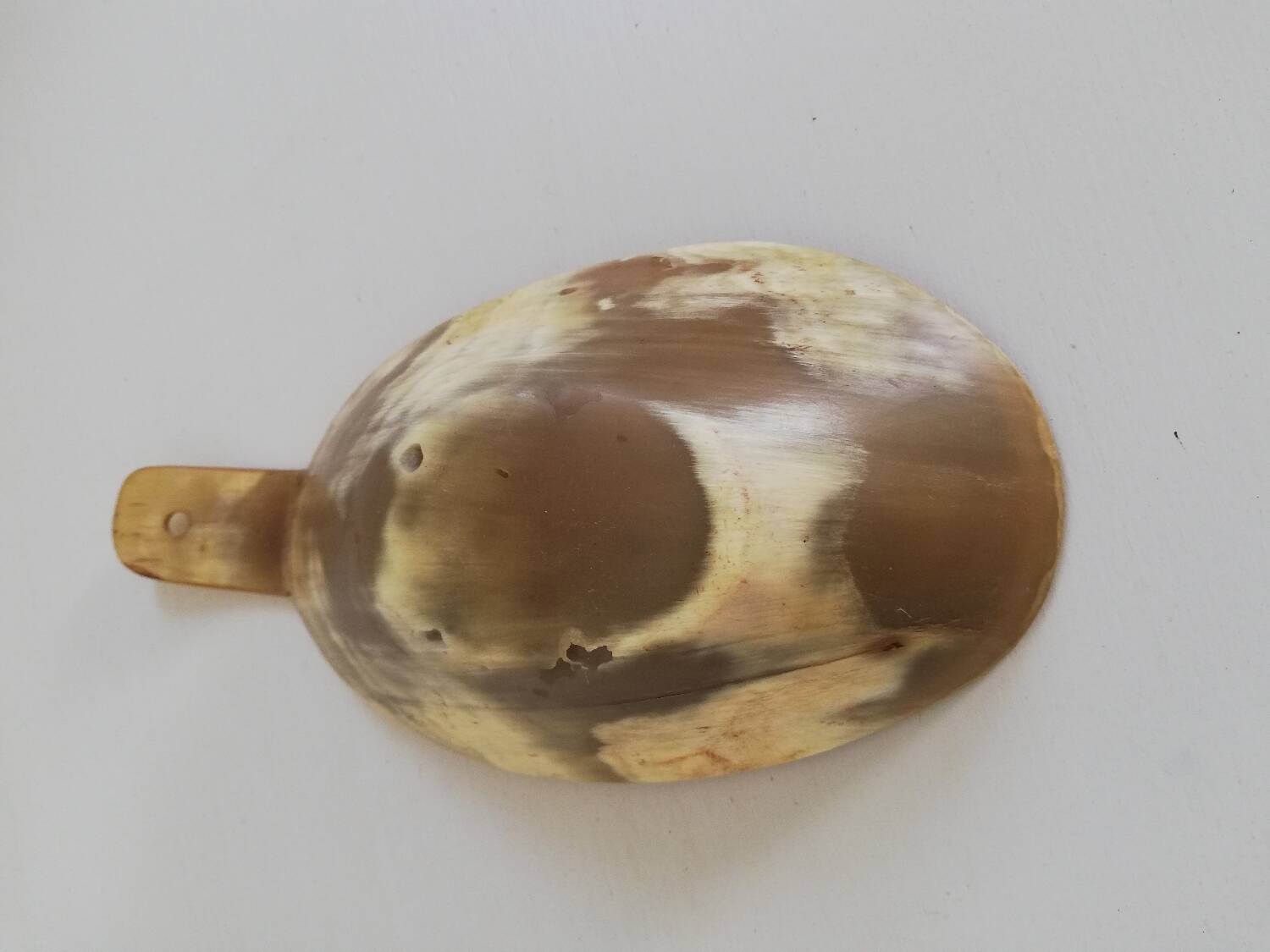 Natural horn bowl/empty-pocket