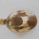 Natural horn bowl/empty-pocket