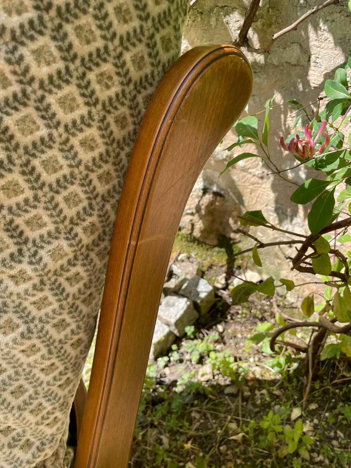 Armchair in wood, cane and velvet