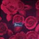 1990s rare chair model Rocky by Bretz Duitsland