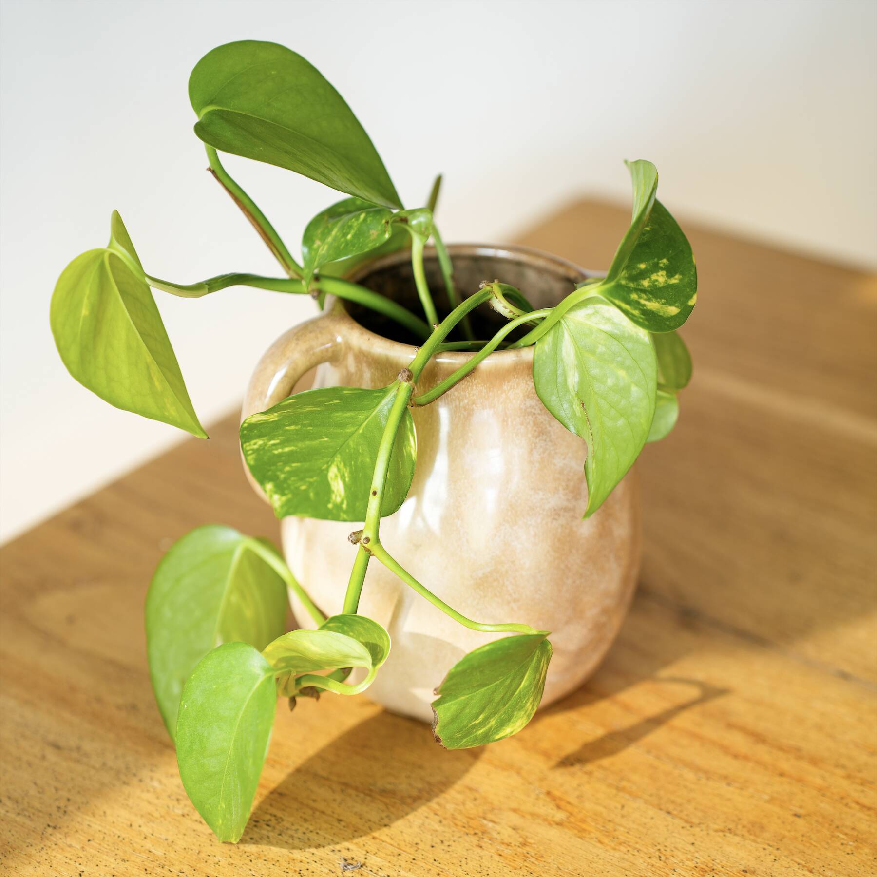 Minimalist style ceramic vase