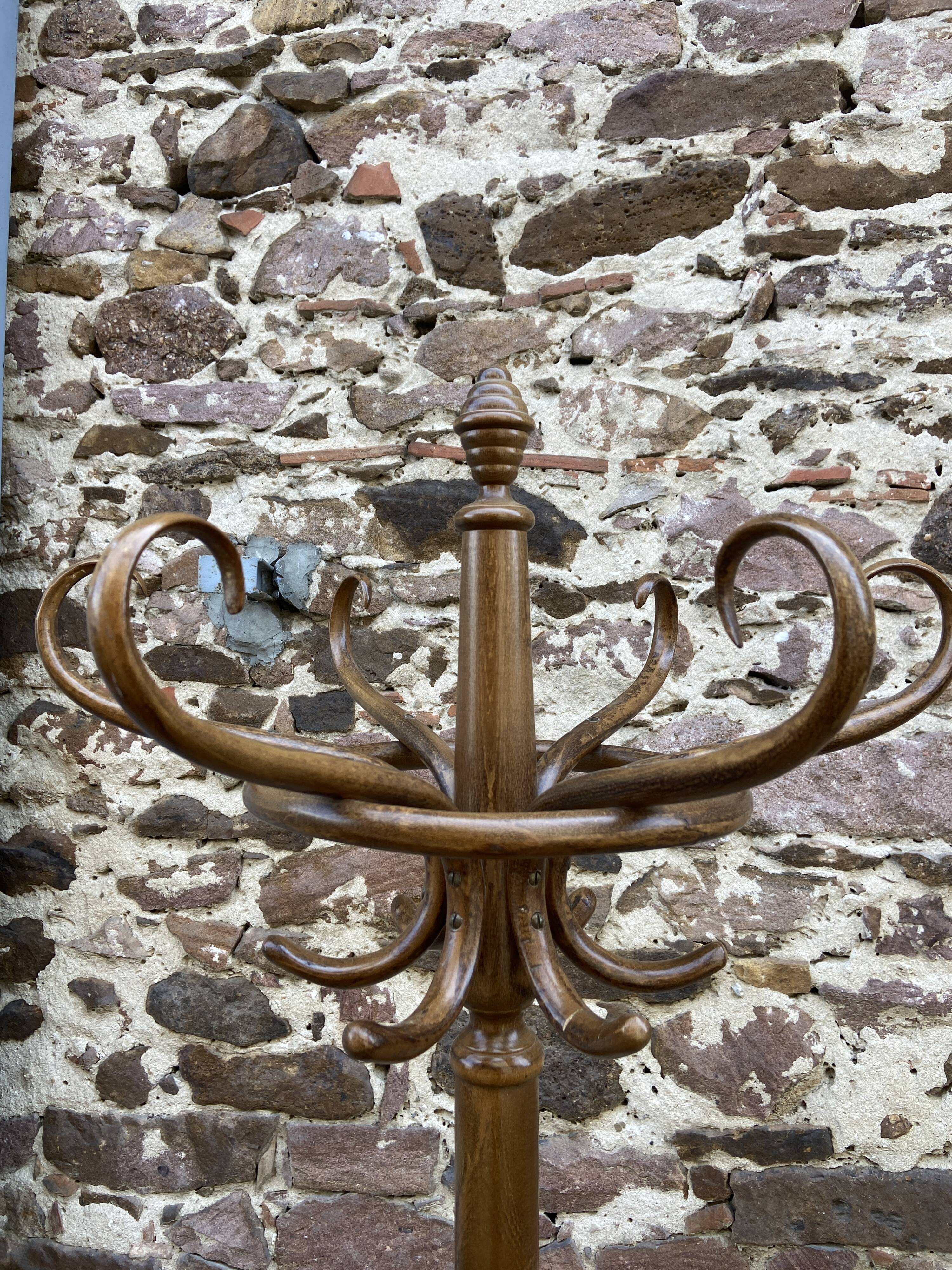 Porte manteau perroquet vintage bois courbé