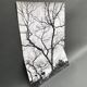 Silver gelatin photograph by Bernard Darot, Shrubs by the Water, 20th century