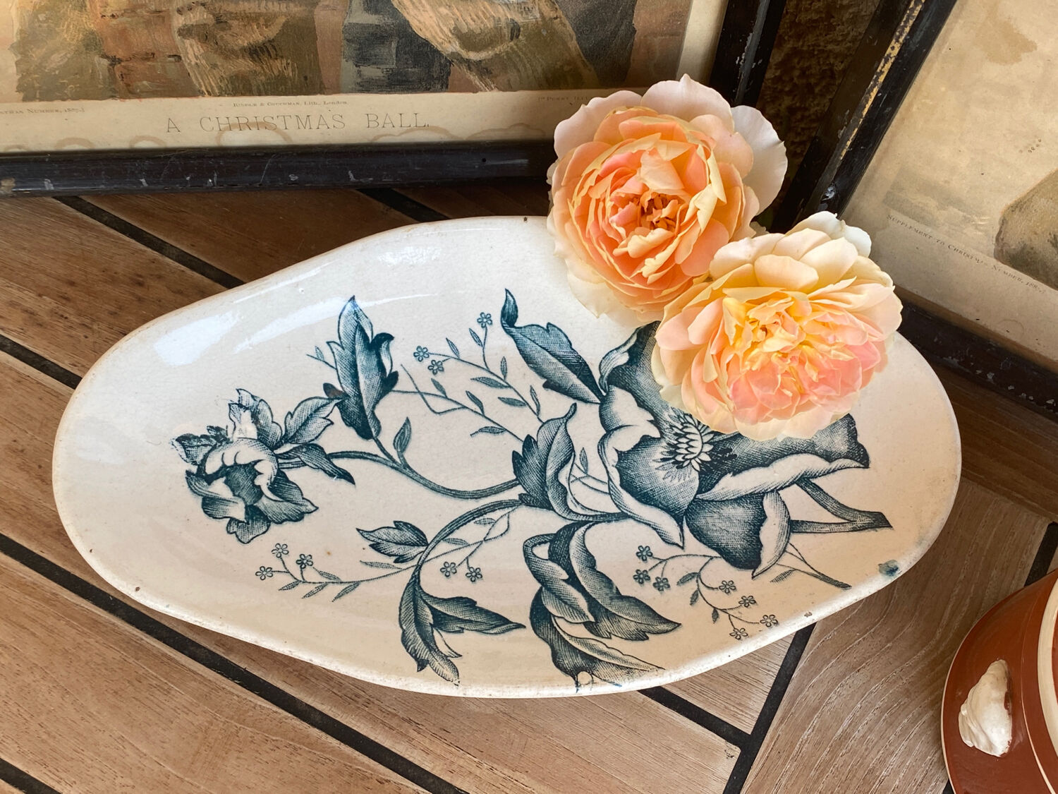 Iron earth ravier model "Christmas rose"