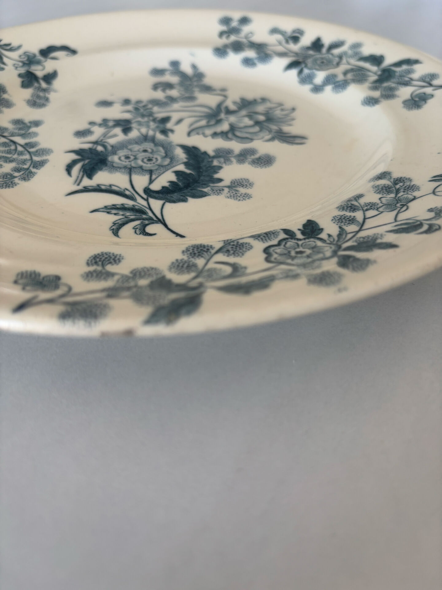 Flat plate iron earth Longwy model Ycho - blue flower faience ja