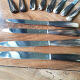 Service 12 horn handle knives