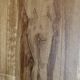 Signed painting monochrome watercolor female nude “back study”