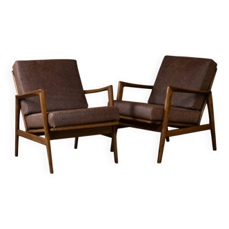Stefan Armchairs from Swarzędzkie Fabryki Mebli, Poland, 1960s, Set of