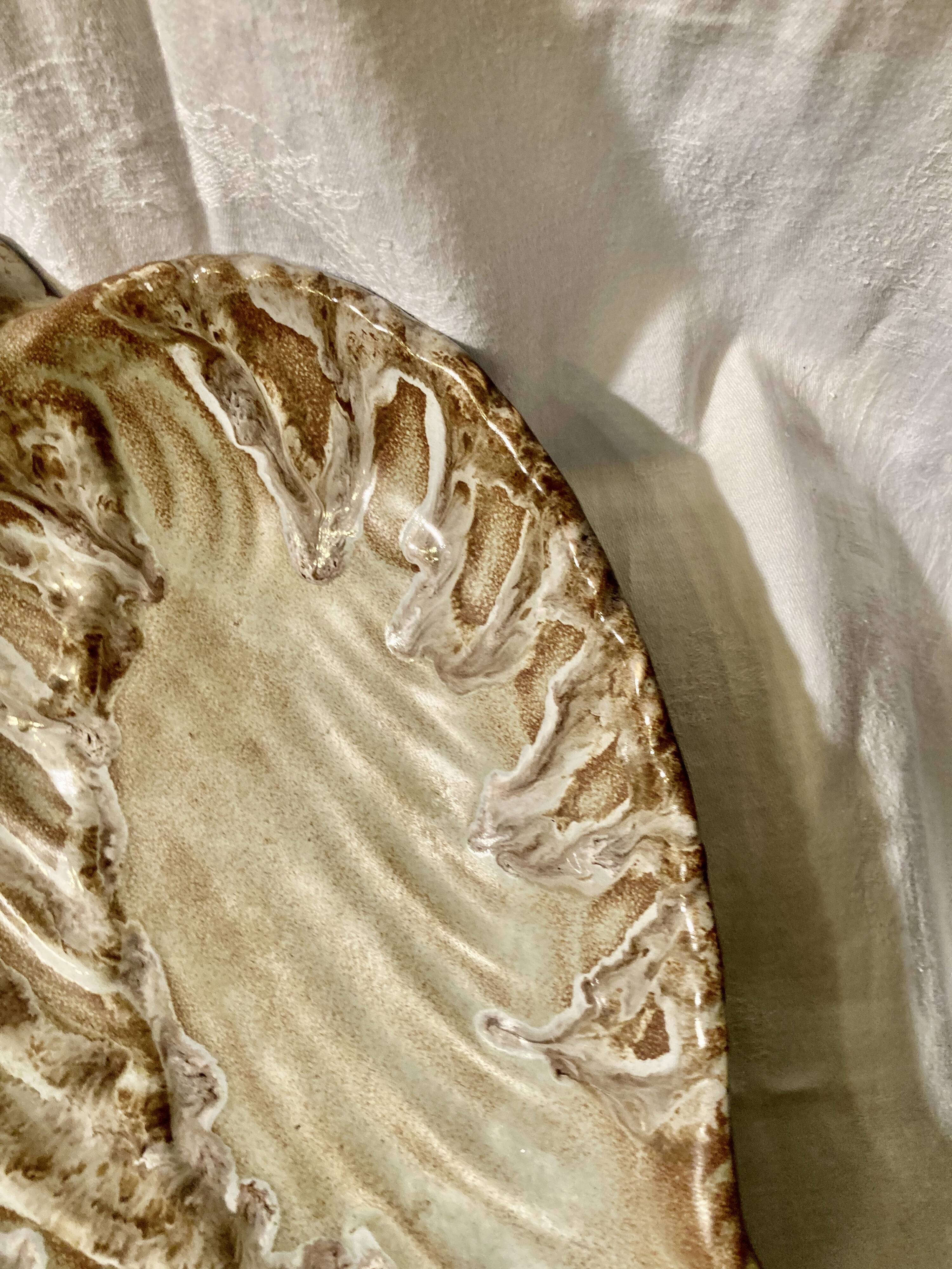 Shell fruit cup Vallauris