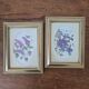 Set of 2 gilded frames under glass – V. Mappin purple flowers – 21.5 x 16.5 cm