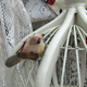 White bird cage wood metal