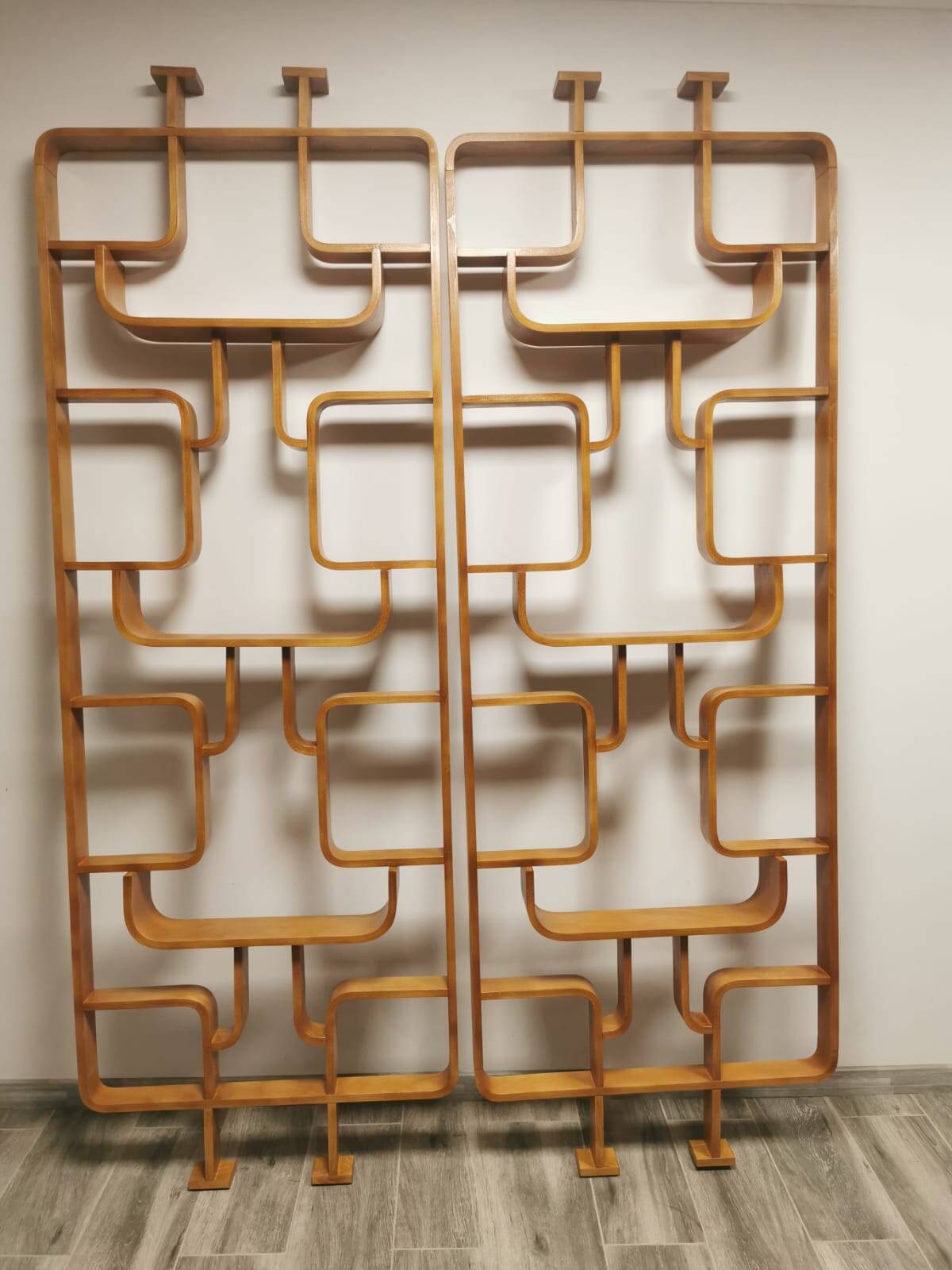 Room Dividers by Ludvik Volak for Drevopodnik Holesov, 1950s, Set of 2