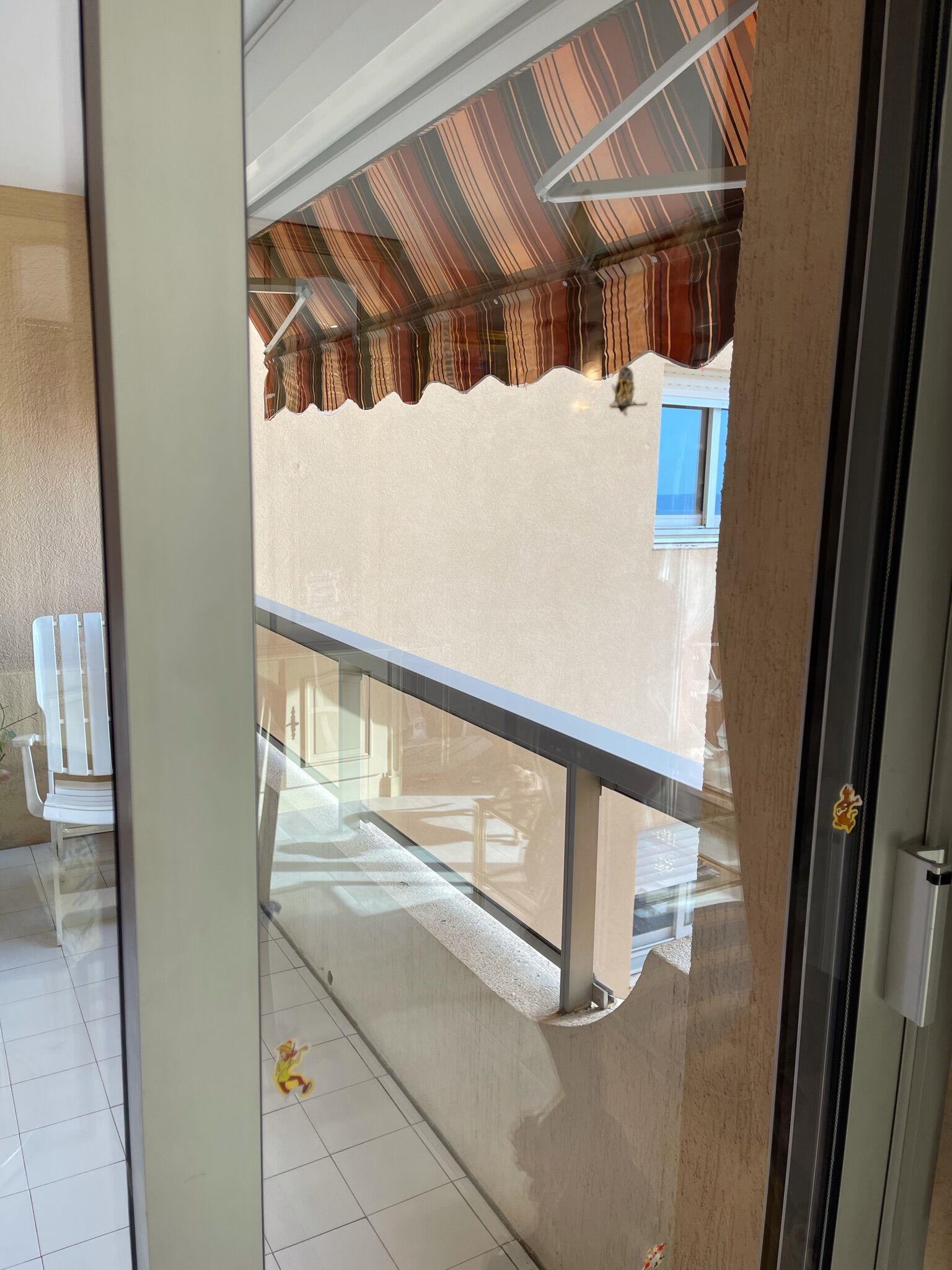 Armchair in Fruit Wood and Cannage Style Louis XVI