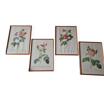 Redouté PJ Frames