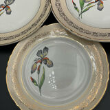 Porcelain plates signed moulin des loups 18 pieces