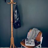 Baumann parrot coat holder