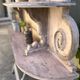 Saint-Hubert wall shelf in solid wood – 19th century – Patina