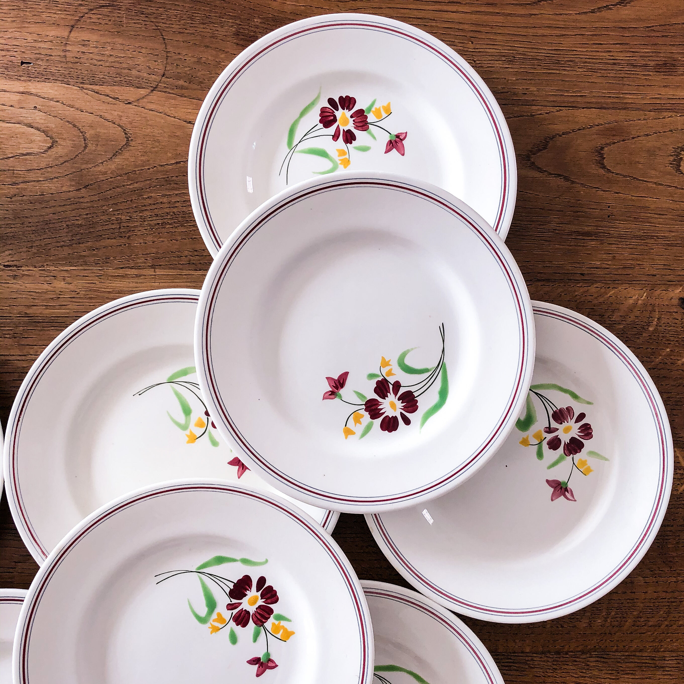 8 plates Salins model Janine
