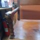 Wooden armchair