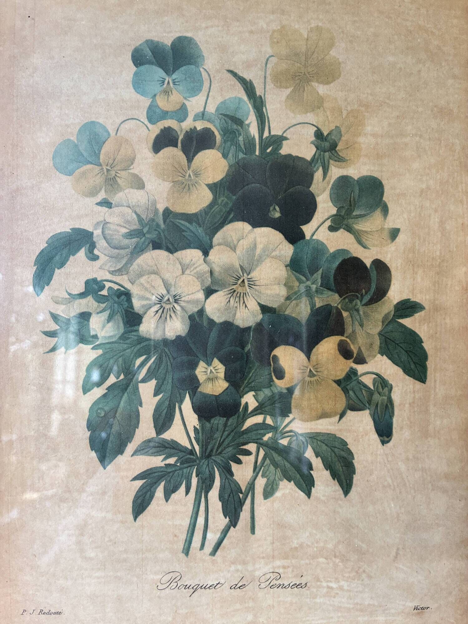 Lithographie encadrée bouquet de violettes PJ Redouté