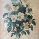 Lithographie encadrée bouquet de violettes PJ Redouté