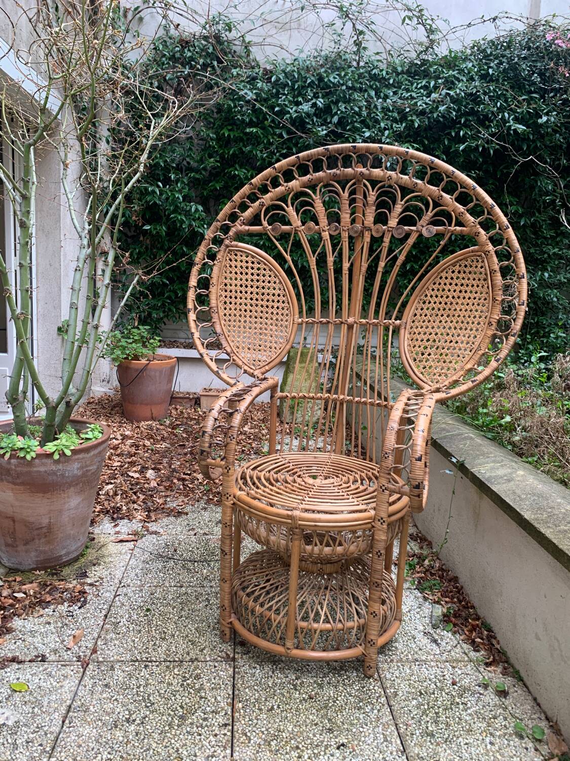 Peacock rattan armchair