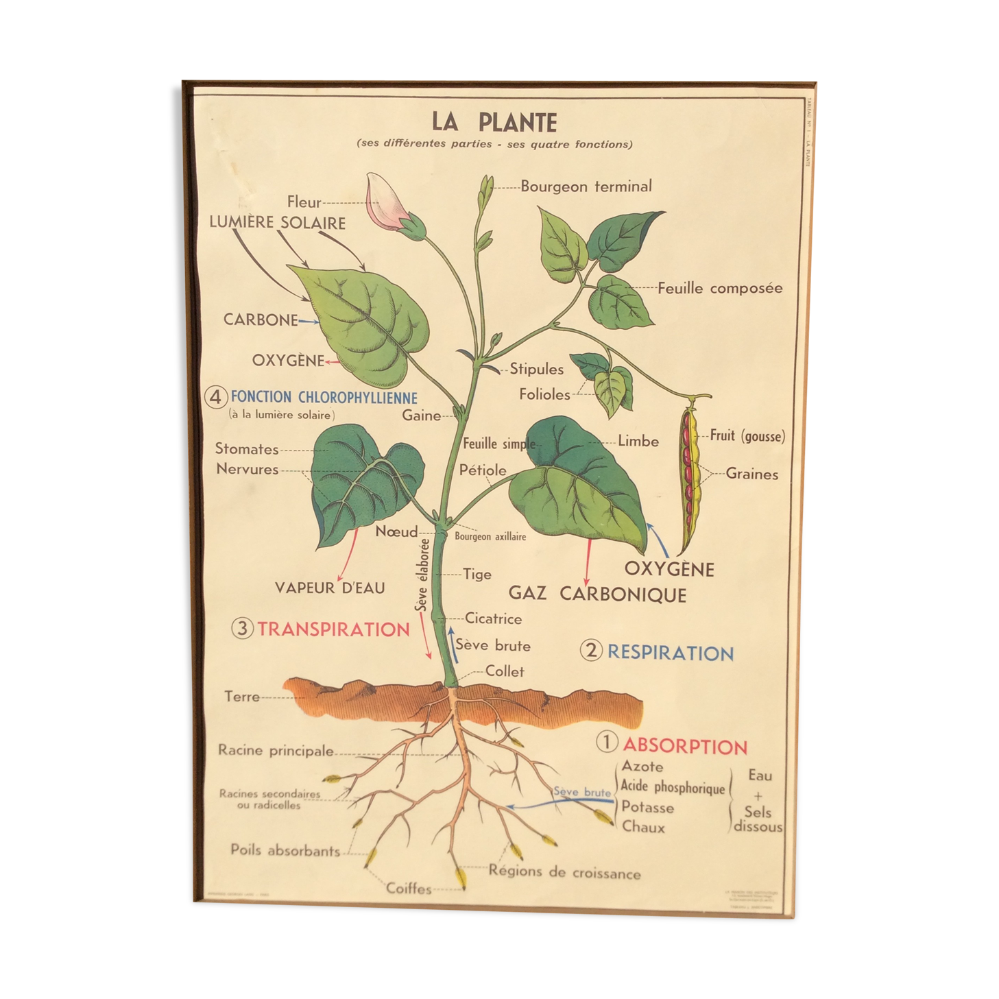 Affiche scolaire 1960 recto/verso