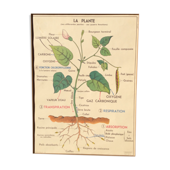 School poster 1960 front/verso