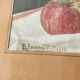 Tableau aquarelle nature morte