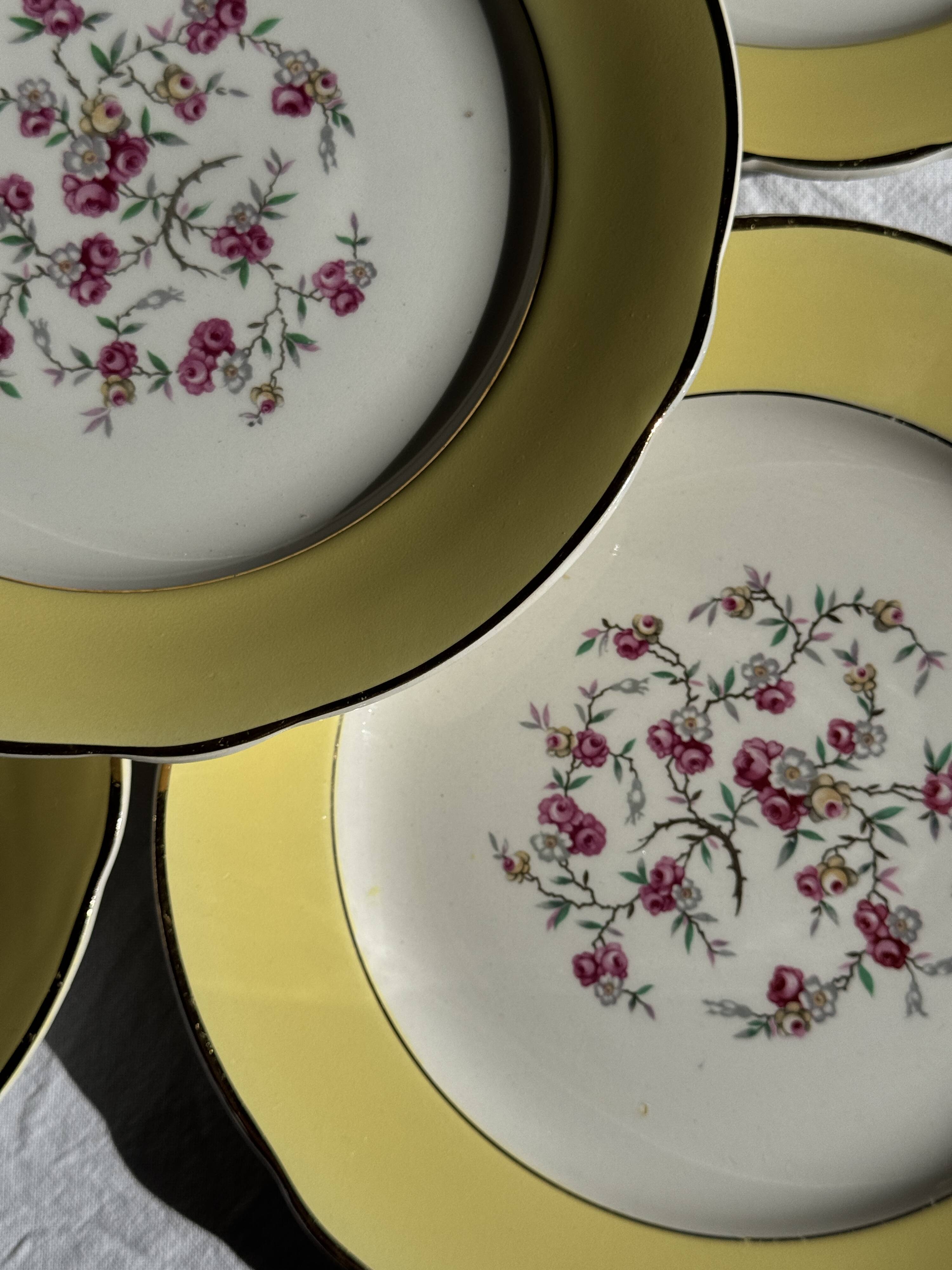 Lot de 19 grandes assiettes plates vintage jaunes fleurs roses liseré doré